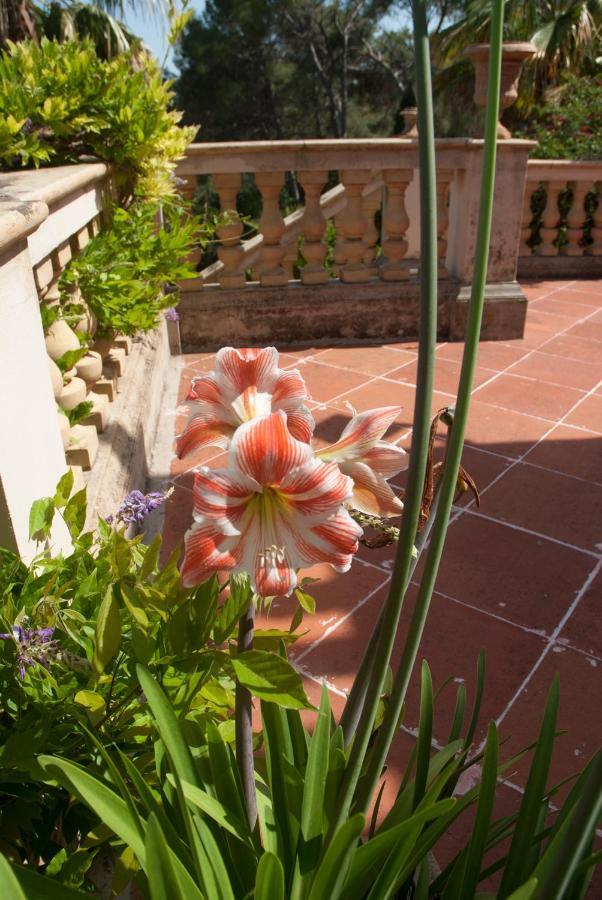 Casa De Las Vistas Palma de Mallorca Luaran gambar