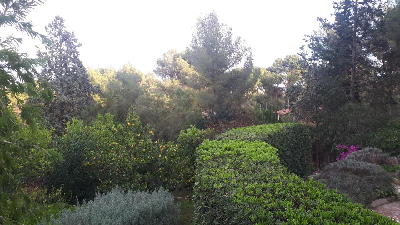 Casa De Las Vistas Palma de Mallorca Luaran gambar