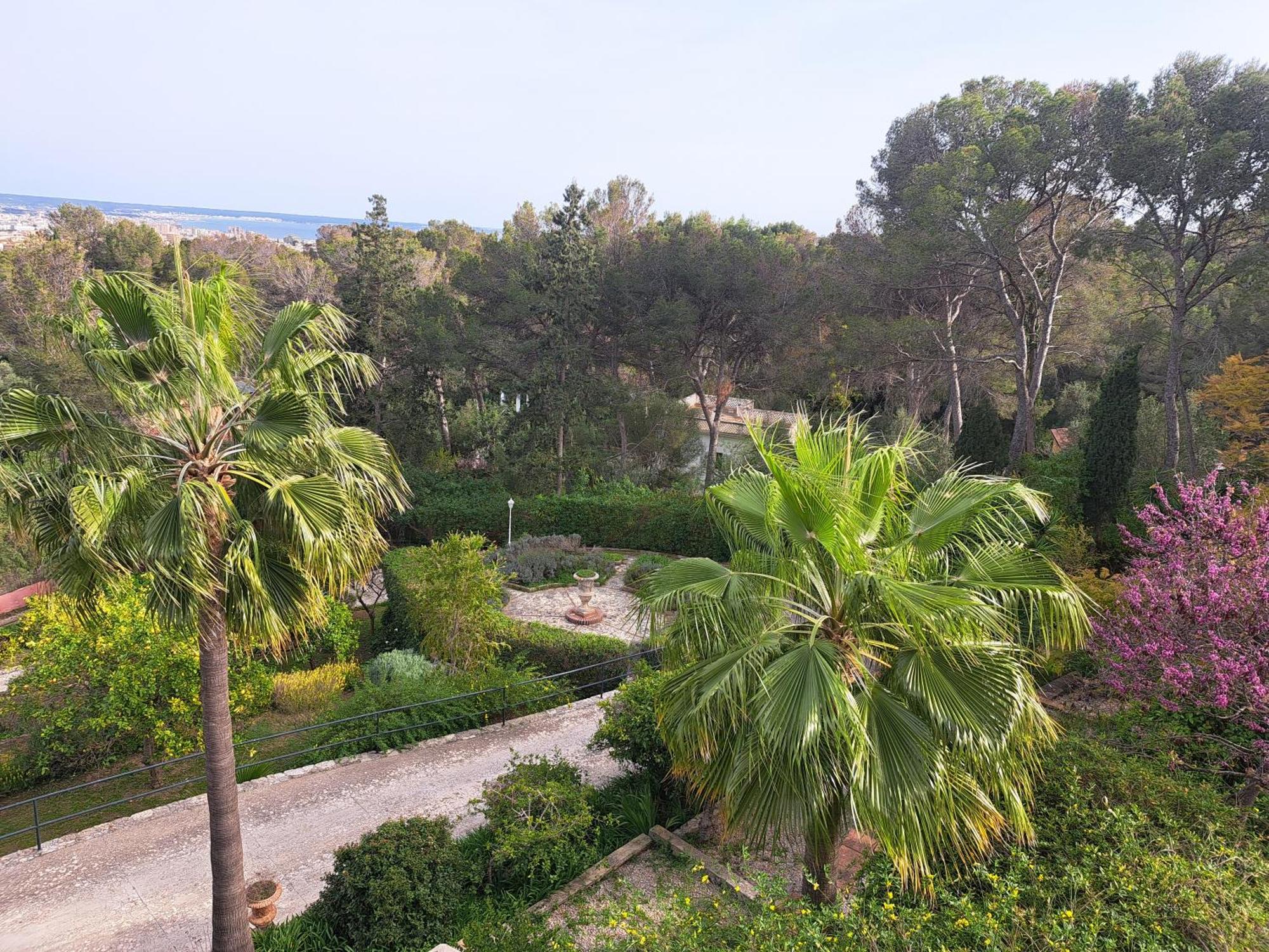 Casa De Las Vistas Palma de Mallorca Luaran gambar