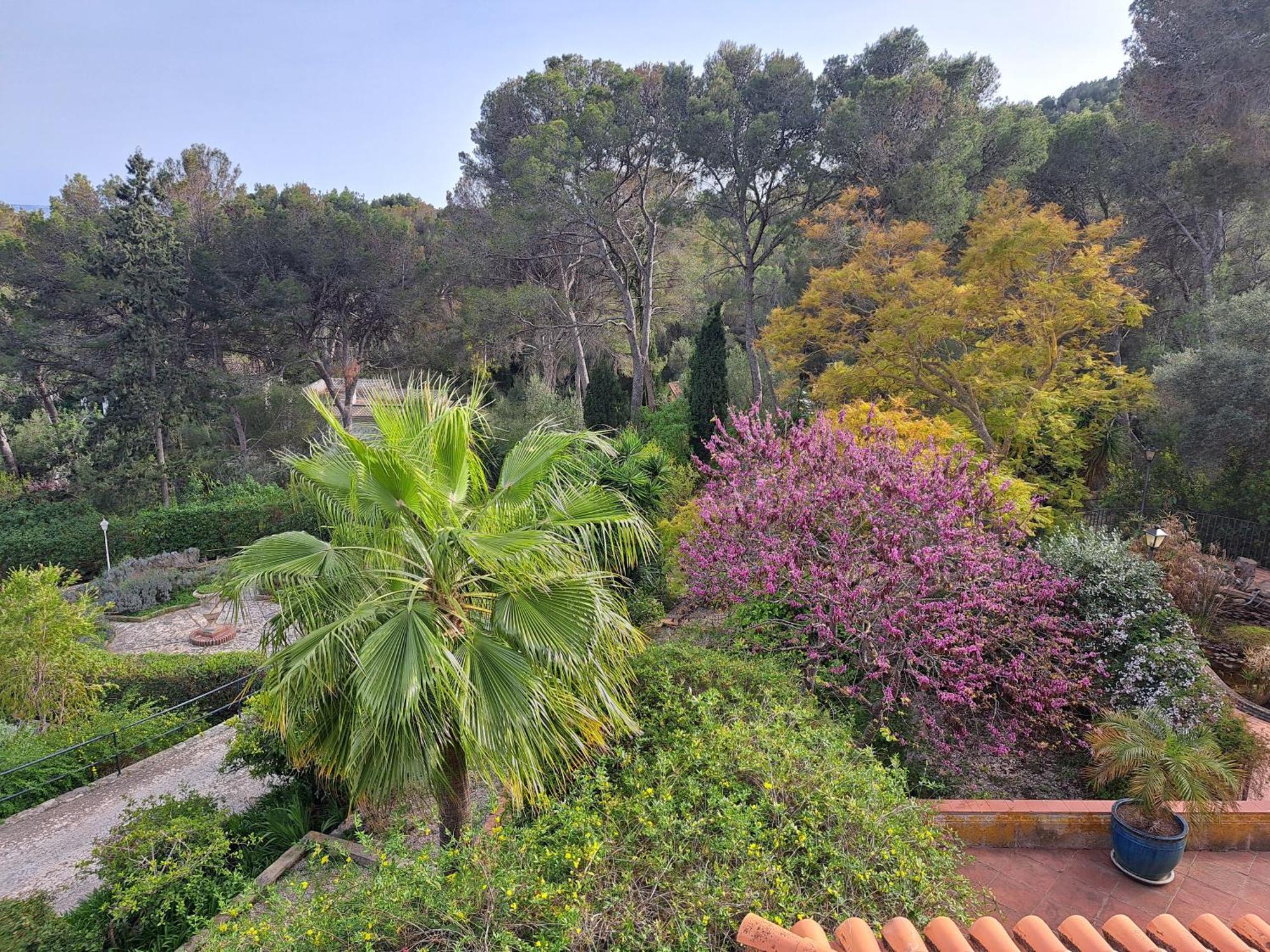 Casa De Las Vistas Palma de Mallorca Luaran gambar