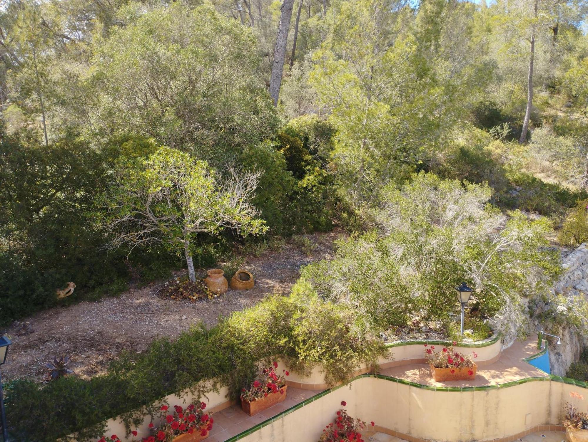 Casa De Las Vistas Palma de Mallorca Luaran gambar