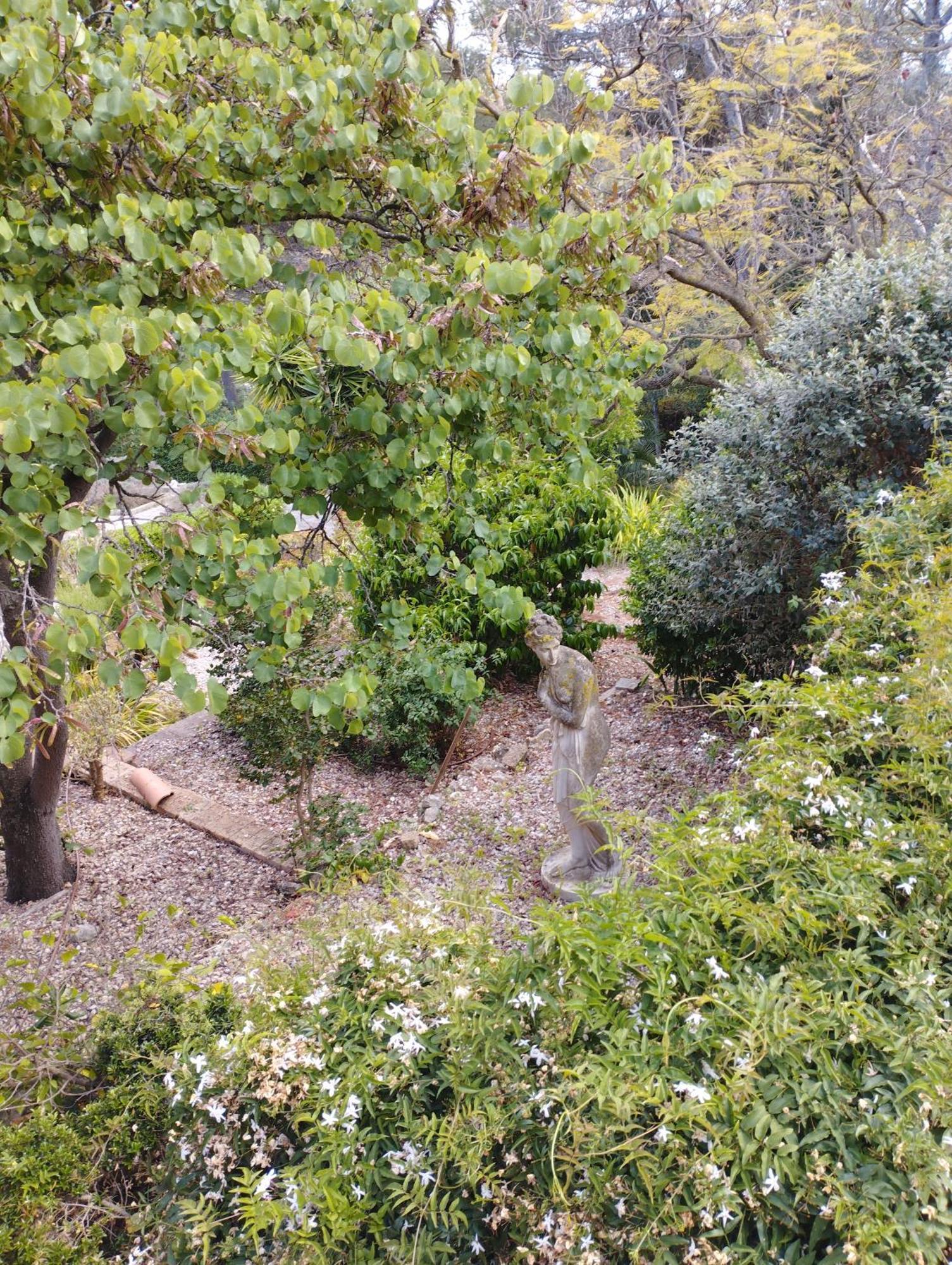 Casa De Las Vistas Palma de Mallorca Luaran gambar