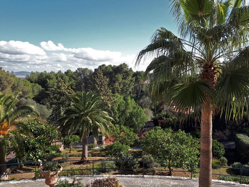 Casa De Las Vistas Palma de Mallorca Luaran gambar
